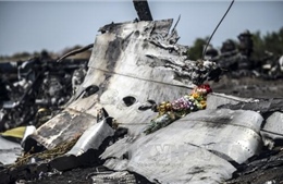Hà Lan từ chối công bố tài liệu liên quan đến MH17